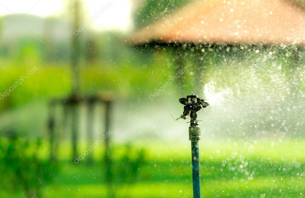 Artificial turf yard in Florida designed to save water