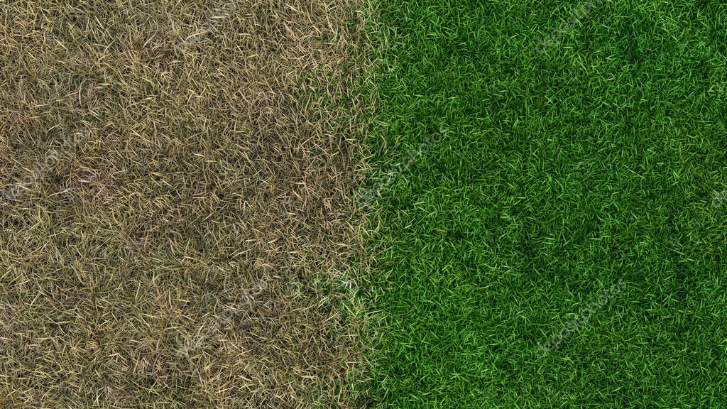 Before and after artificial turf yard transformation