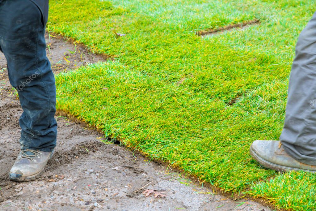 Professional crew installing artificial turf in a backyard
